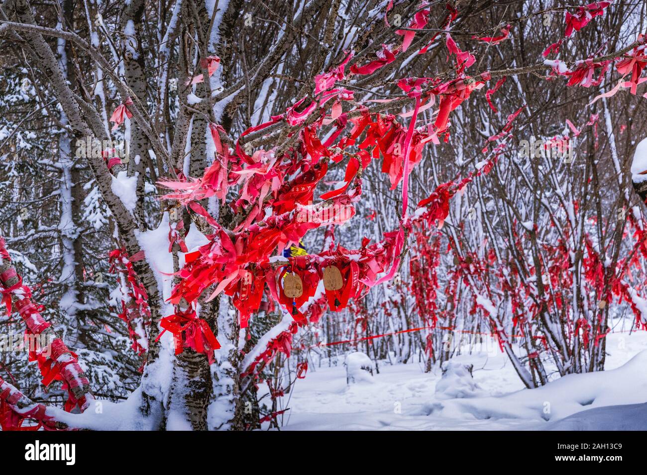 Red Ribbons Of Good Luck Tied To The Tree Branches That Are Covered In Snow And Frost In The Wooded Forest During Winter In 19 Stock Photo Alamy