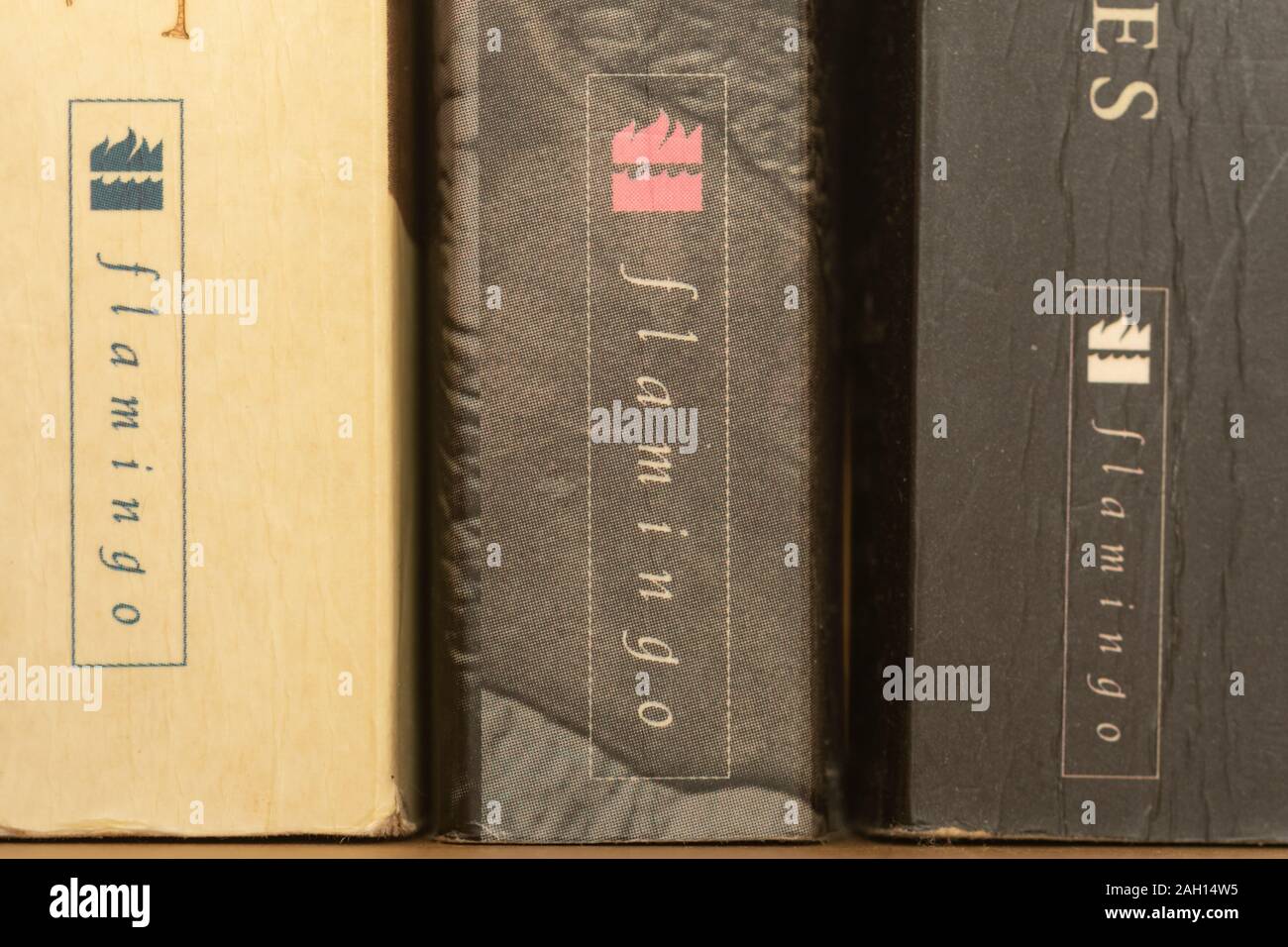 Close-up of books published by Flamingo, publisher, publishers, publishing Stock Photo