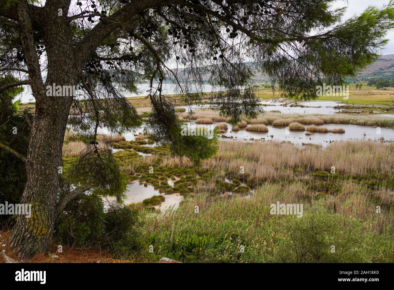 Coastal wetlands on the island of Kefalonia, Greece Stock Photo