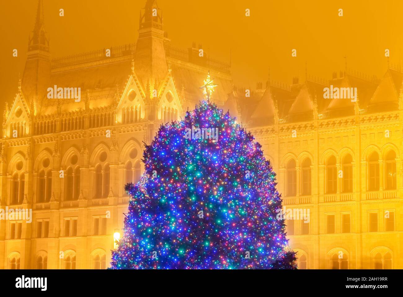 Budapest decorated Christmas tree outside Hungarian Parliament. Night