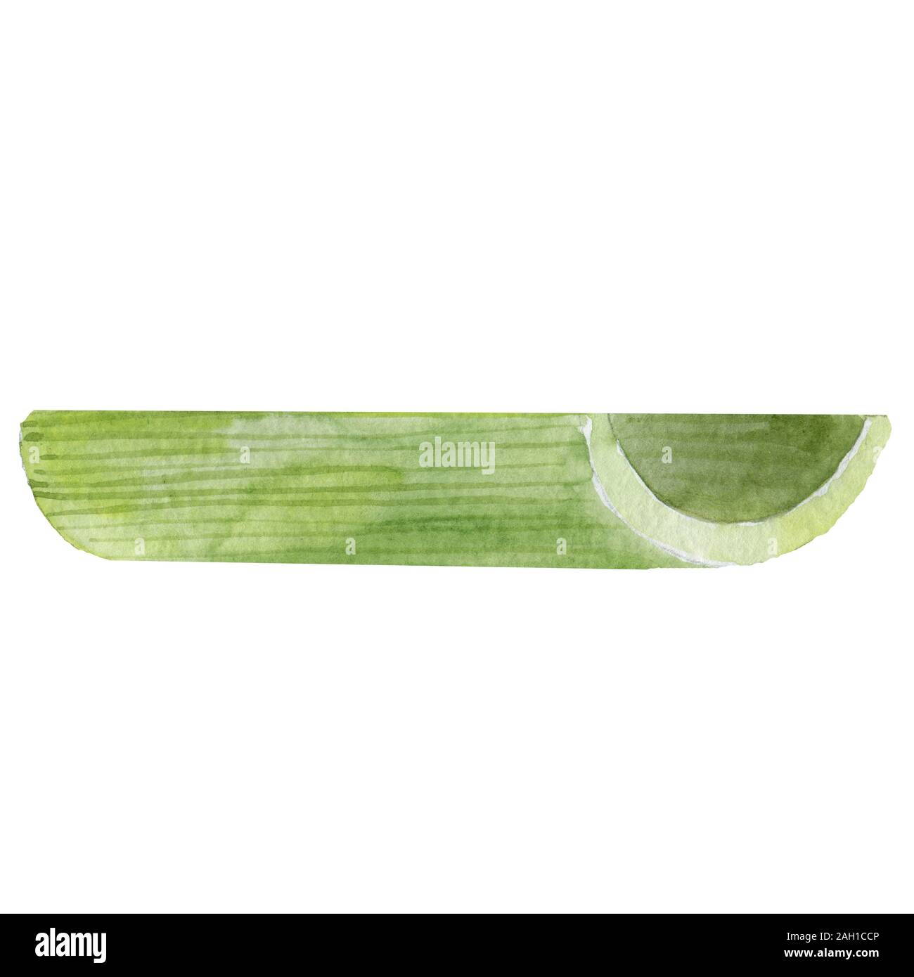 Green fresh celery. Stick isolated on white. Stock Photo