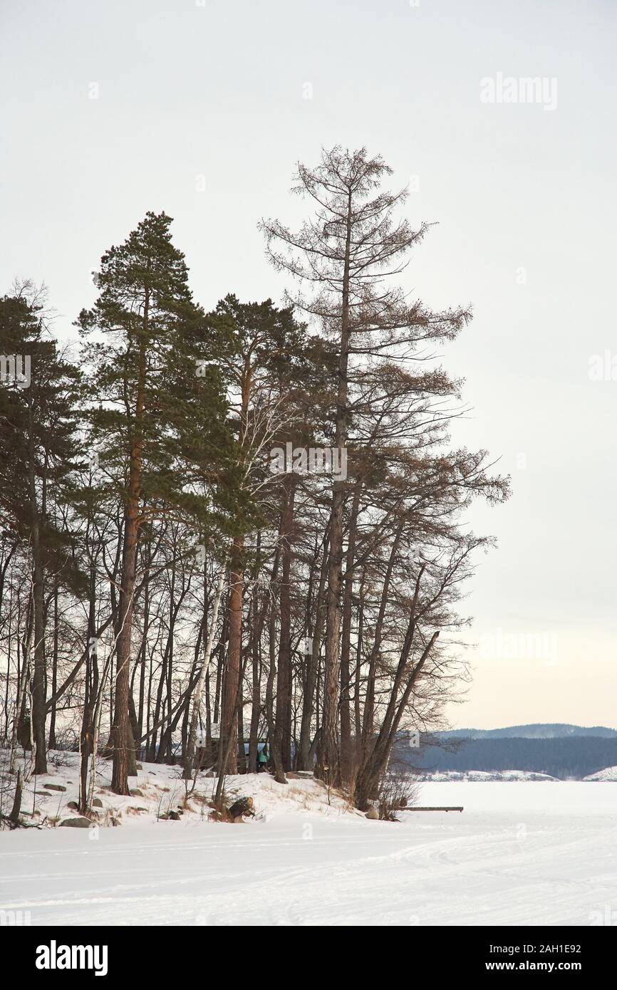 scenic winter landscape background. trees and snow Stock Photo - Alamy