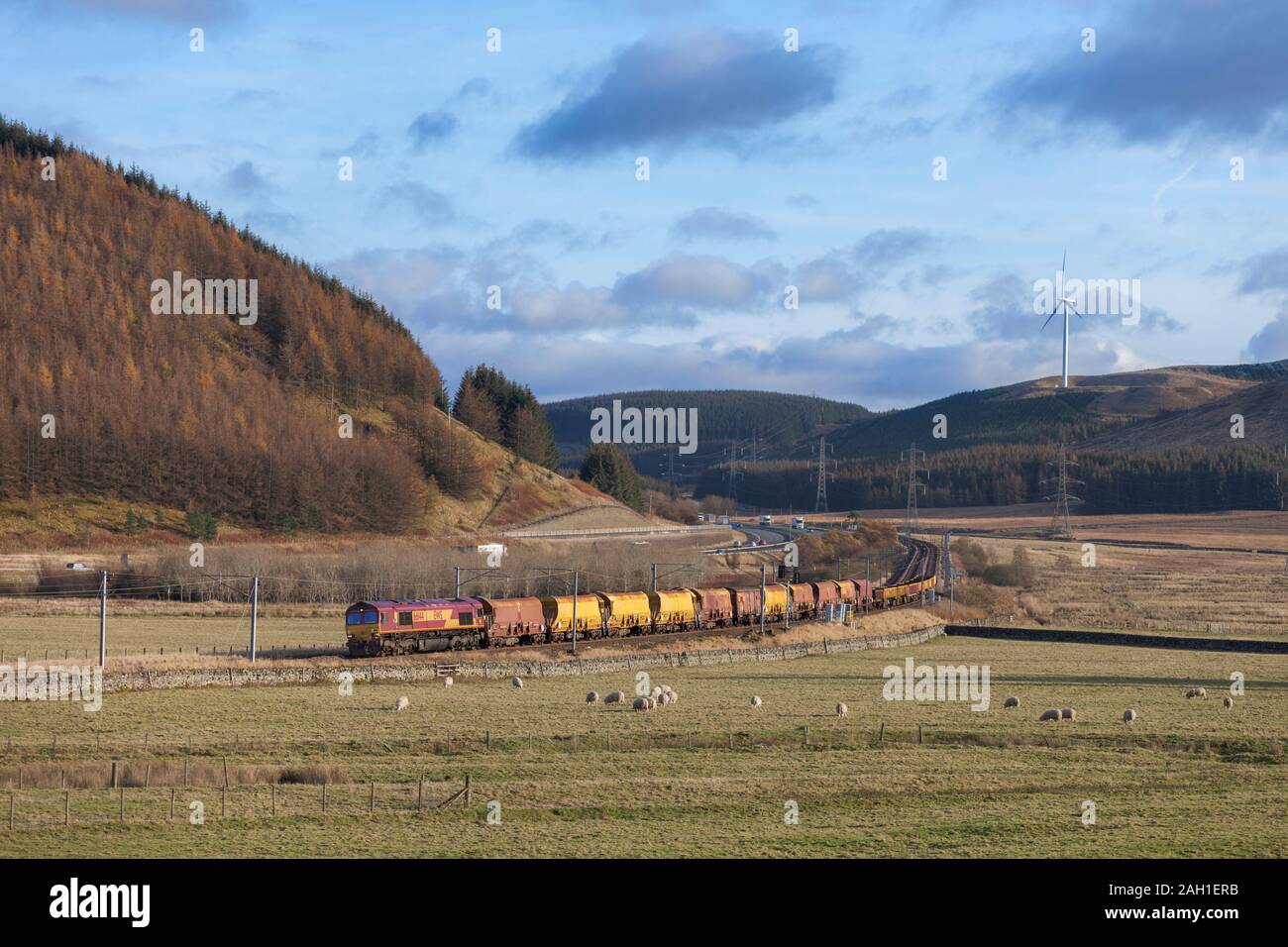 DB Cargo class 66 locomotive passing Elvanfoot on the west coast mainline in Scotland with a freight train carrying materials for Network Rail Stock Photo