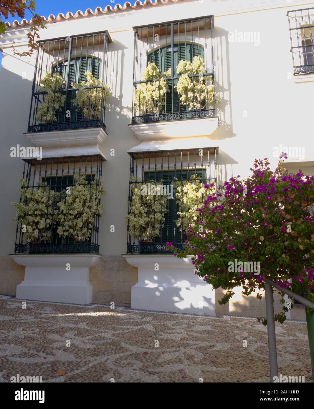 White washed house walls nature hi-res stock photography and images - Alamy