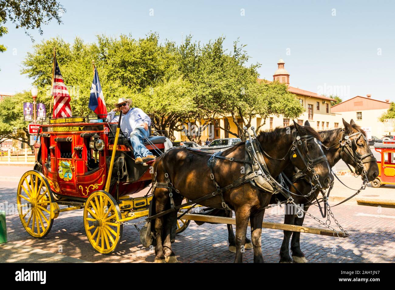 Horse carriage with two horses with USA national flag in the Fort Worth