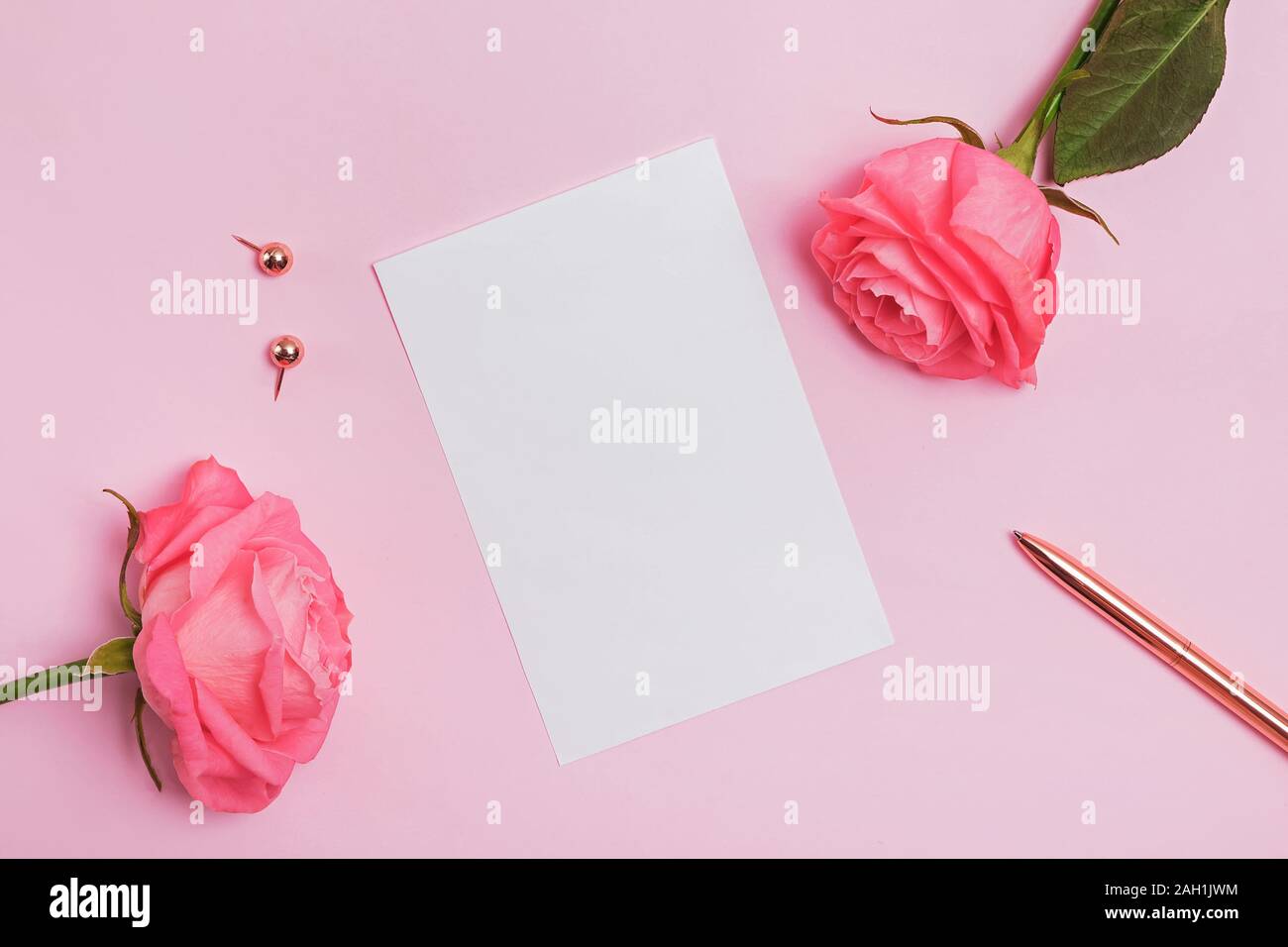 Top view of blank paper card lying on the pink table with roses and gold color stationery. Minimalist mock-up Stock Photo