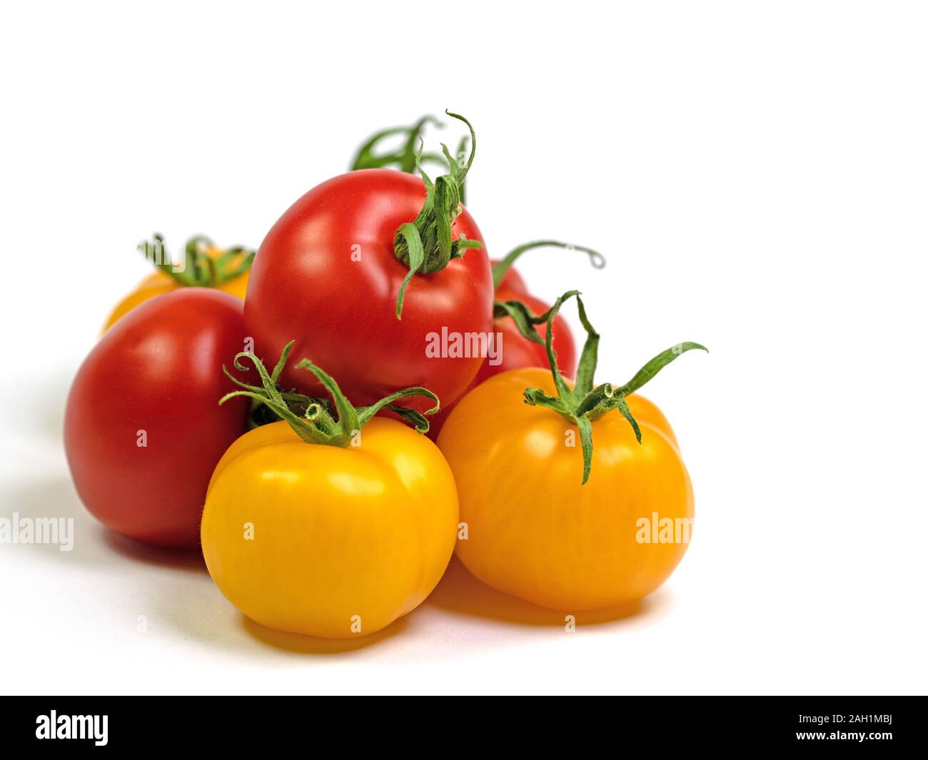 Red and yellow tomatoes in front of white background Stock Photo - Alamy
