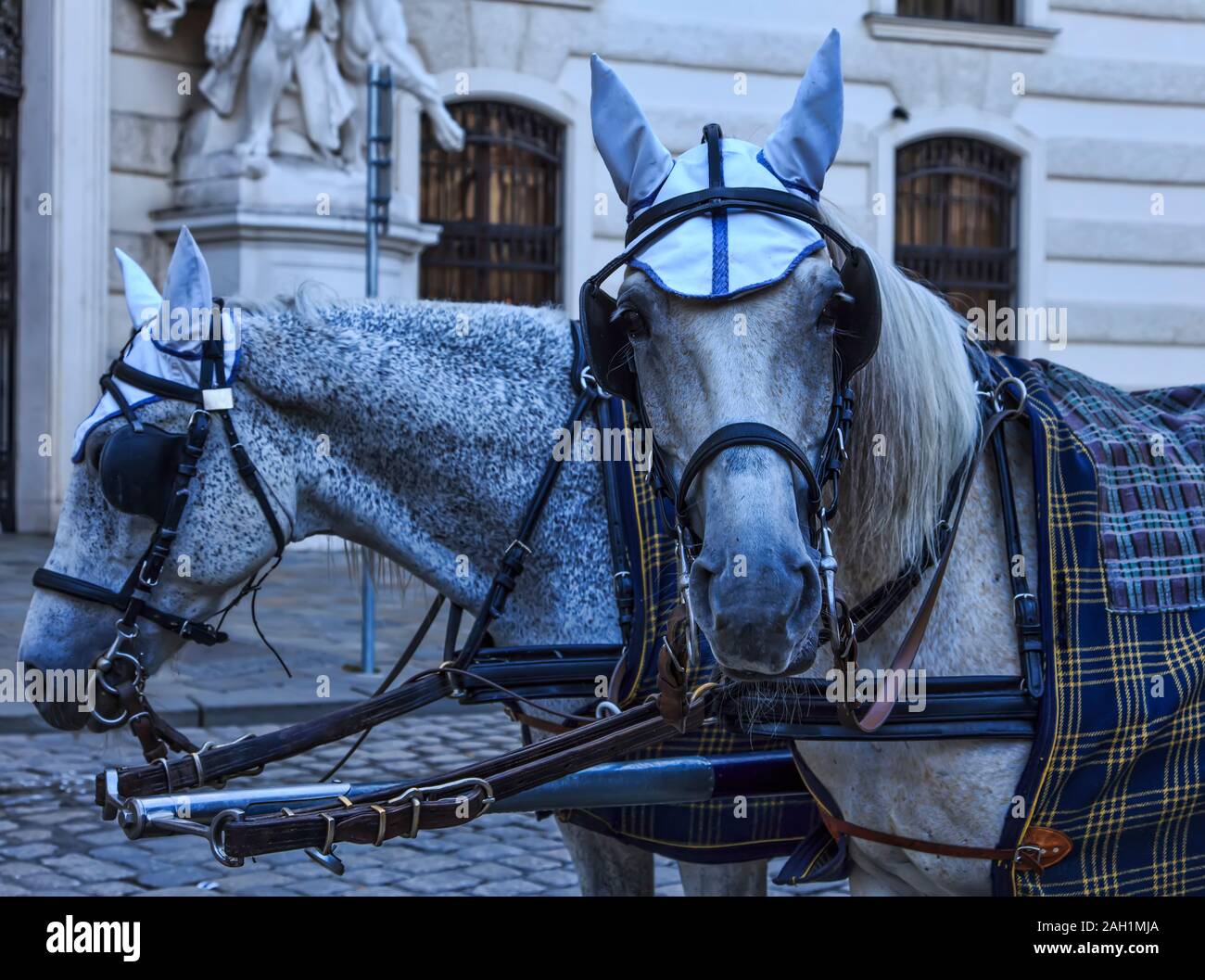 Vienna, Austria, horsedrawn carriage outside The Hofberg Stock Photo