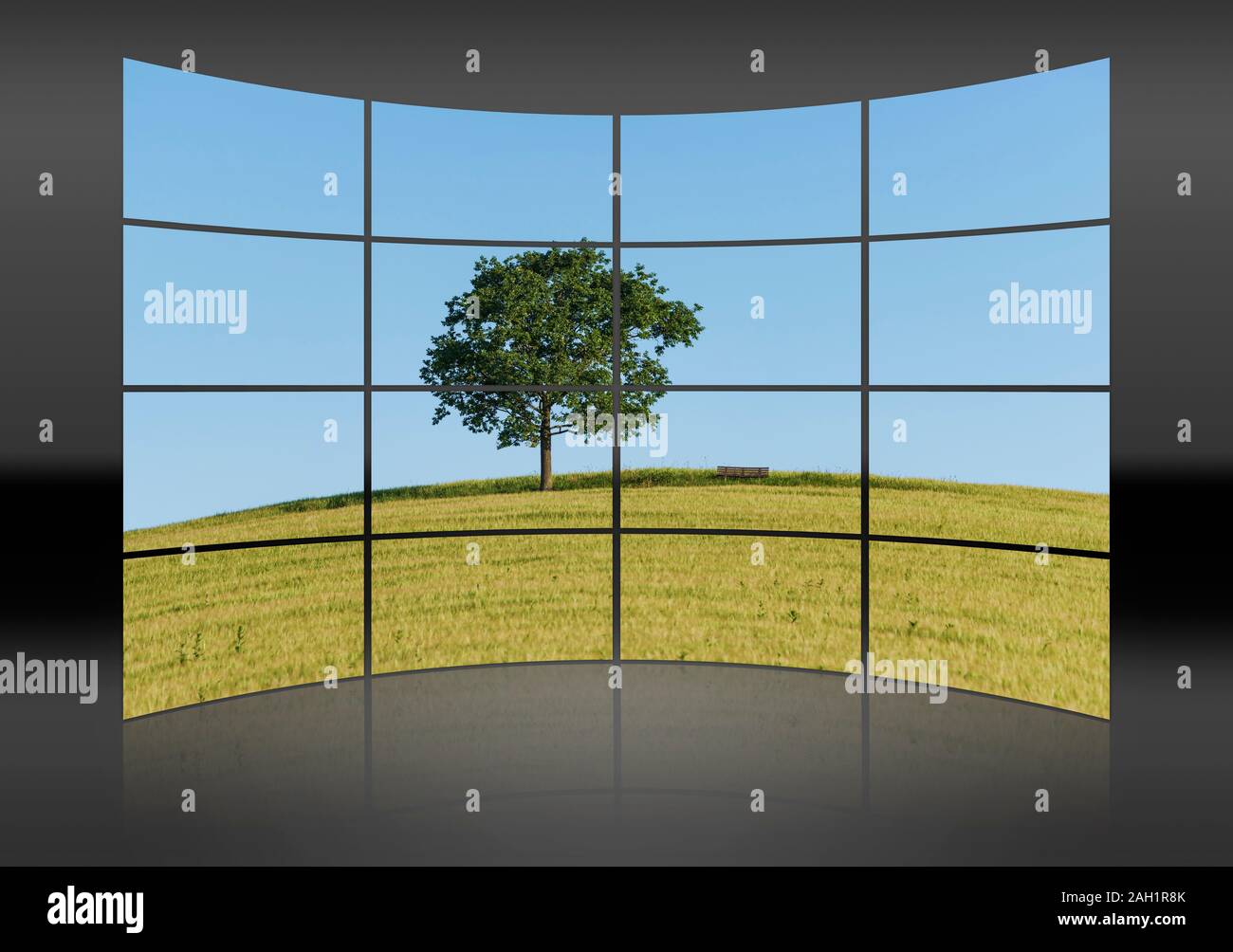 Horizontal whole flora tree hi-res stock photography and images - Alamy