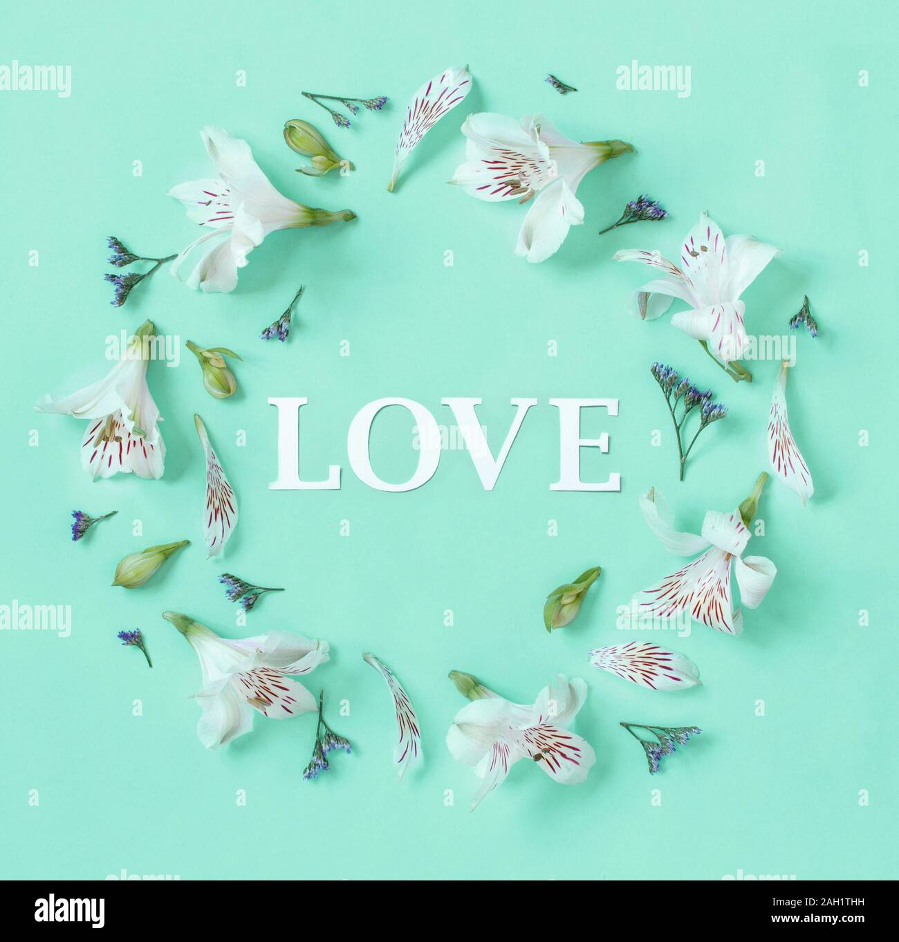 Flowers and word LOVE on a light green background top view Stock Photo