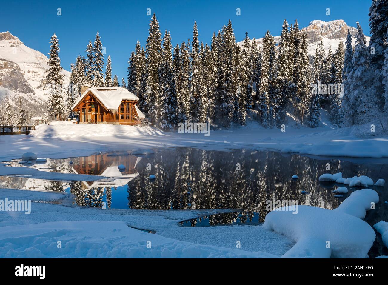 Cilantro on the lake at Emerald Lake in winter, Alberta, Canada, Stock Photo
