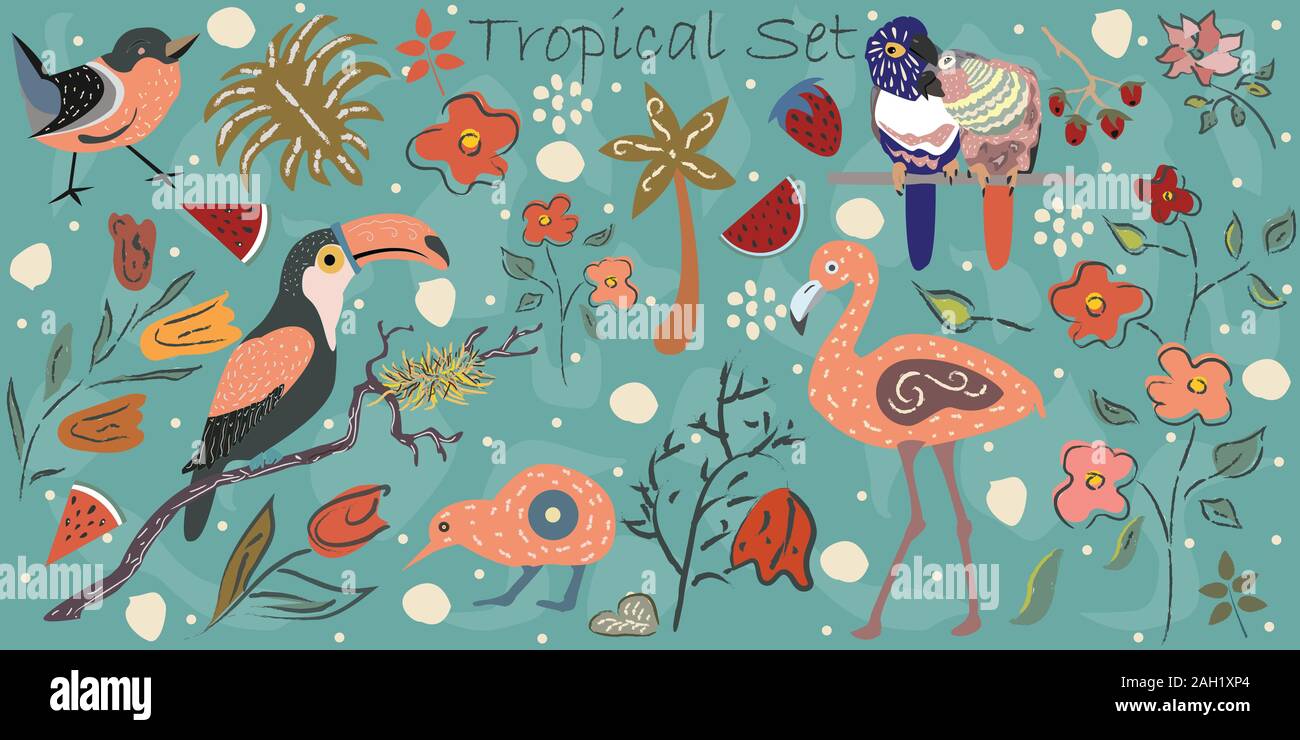 Big Tropical Collection with exotic birds. Flamingo, Parrots, toucan, Australian bird kiwi, small bird plus tropical plants and flowers. Hand Drawn El Stock Vector