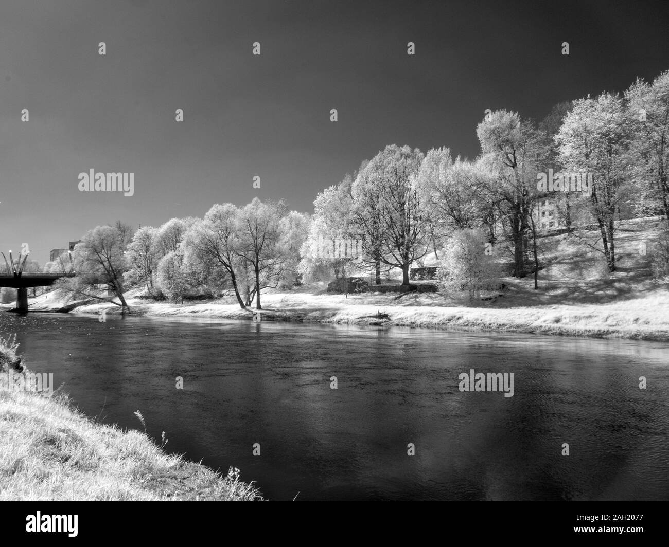 surreal infrared landscape. white trees in the background and a bridge over the river, white grass in the foreground Stock Photo