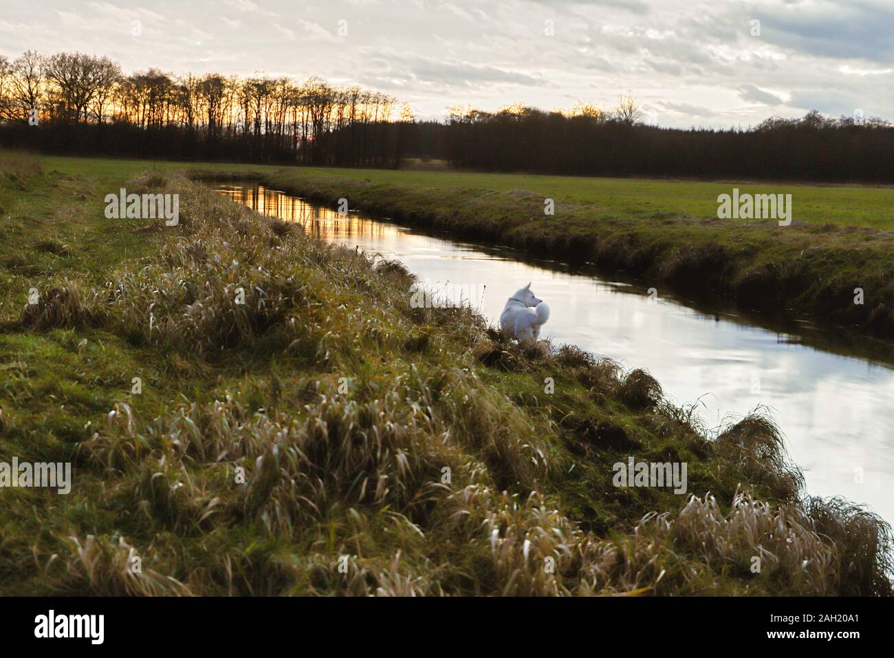 Mittelradde, Ahmsen, Lahn, Fluss Dämmerung, Dezember, Spiegelung, Wasser, Moor Stock Photo