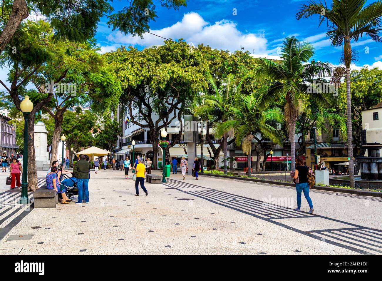 Small square by Avenida Arriaga in central Funchal, Madeira, Portugal Stock Photo
