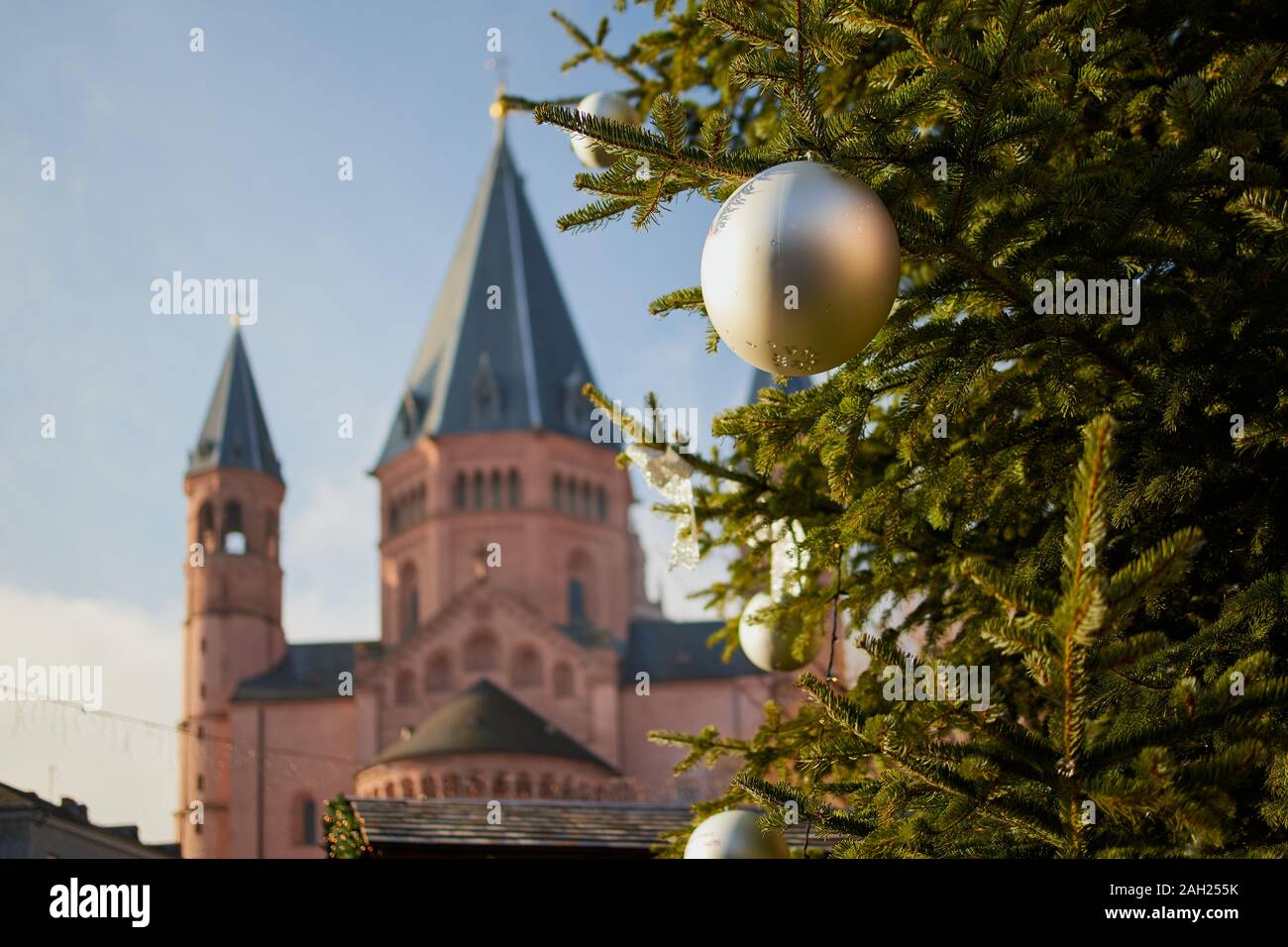 focus is on a christmas tree in the front, in the background is blurred the St. Martins cathedral of Mainz in  Germany Stock Photo