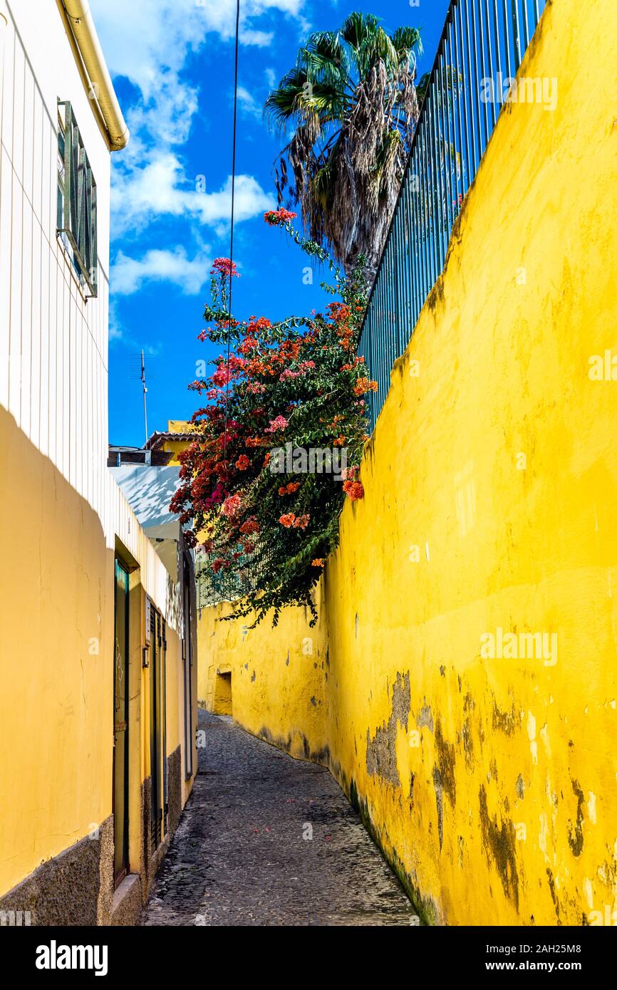 Narrow alleyway with bright yellow wall by Fortaleza de Sao Tiago in the old town of Funchal, Madeira, Portugal Stock Photo
