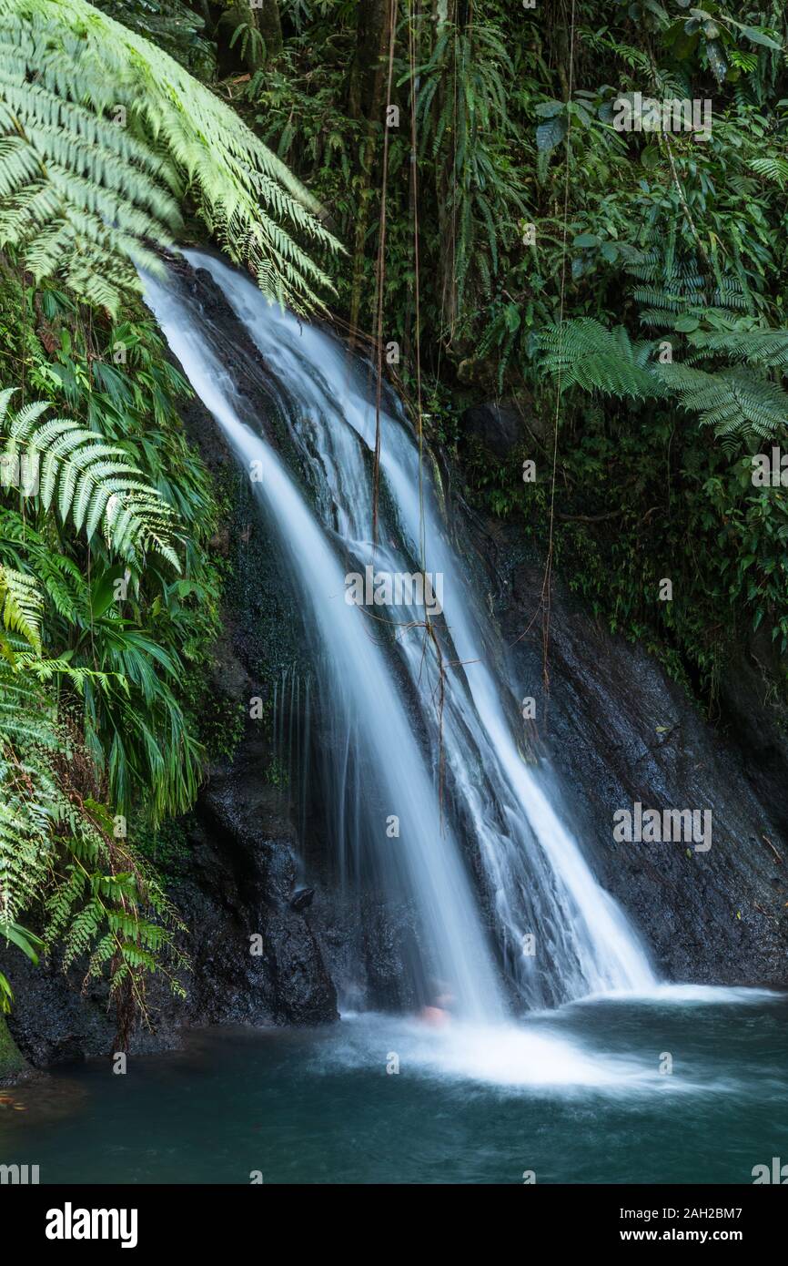 The Cascade aux Ecrevisses waterfall in the Guadeloupe National Park on the island of Basse-Terre, Guadeloupe.  A UNESCO World Biosphere Reserve. Stock Photo