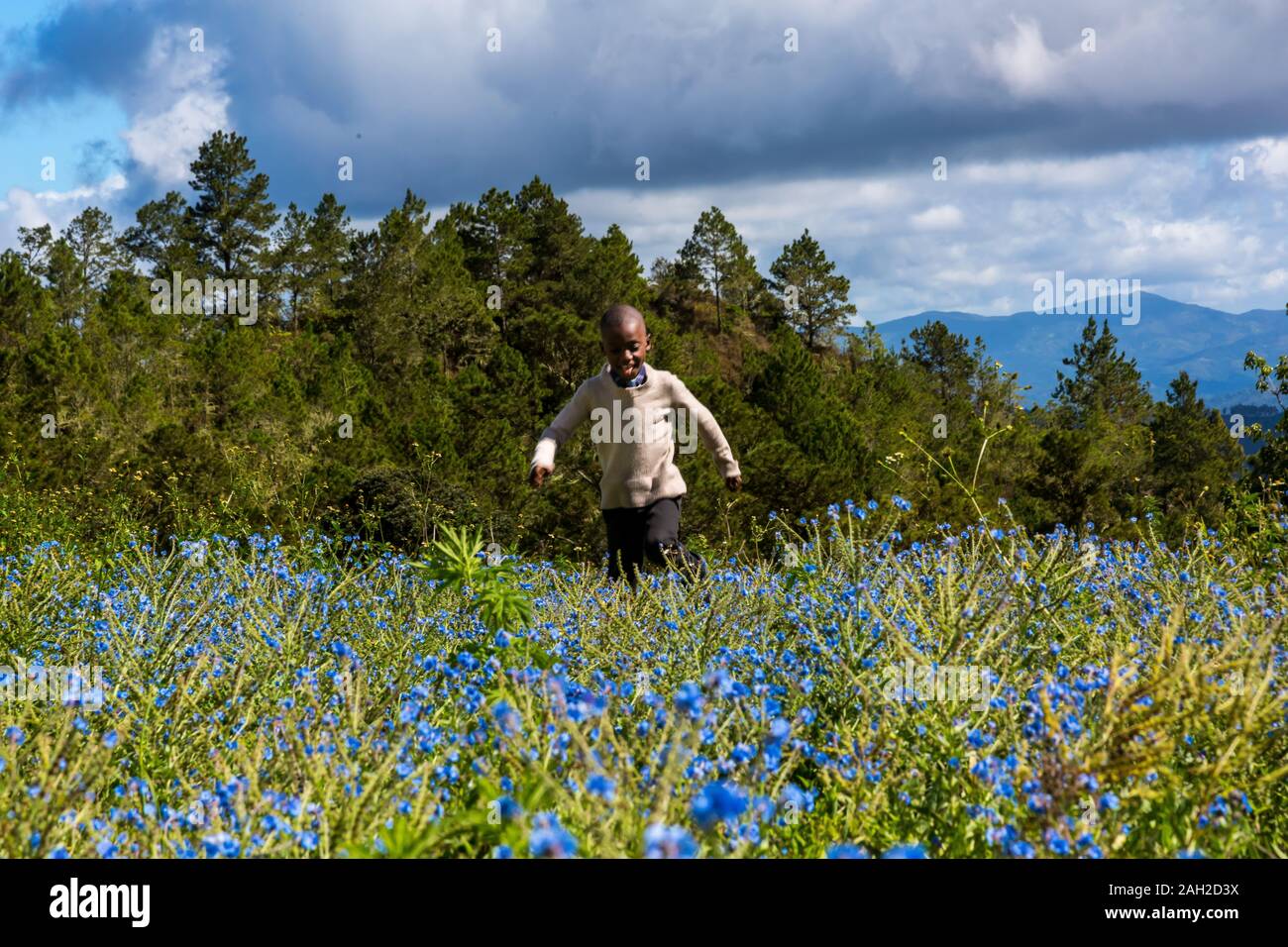 Haitian boy hi-res stock photography and images - Alamy
