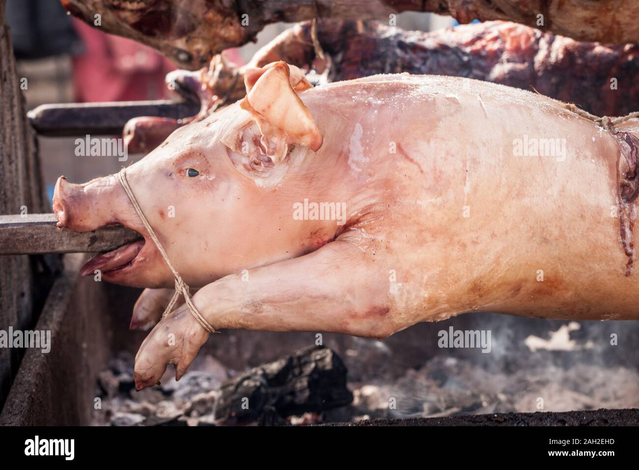 Head of a roasted pig, a young one, on a traditional grill of Serbia, in the Balkans, called Pecenje. Porks are traditionnaly roasted on this kind of Stock Photo