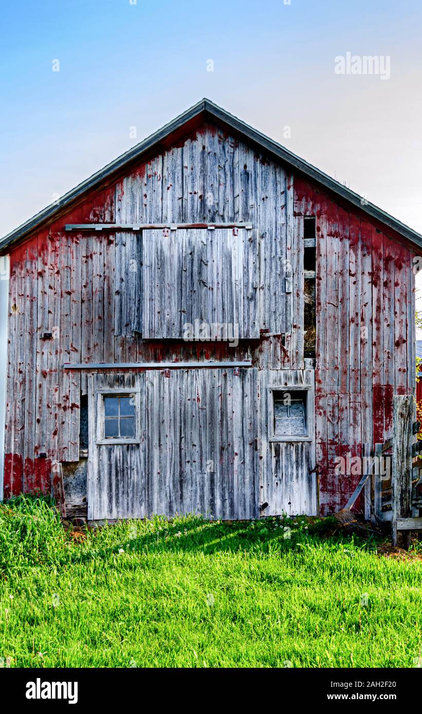 The weathered exterior wall of a red barn. Weather and elements of nature has worn out the original colour of the wooden wall. Stock Photo