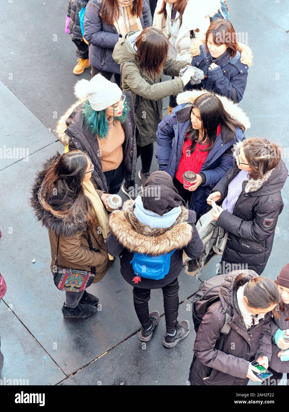 Toronto winter carnival in Nathan Phillips Square City Hall Stock Photo ...