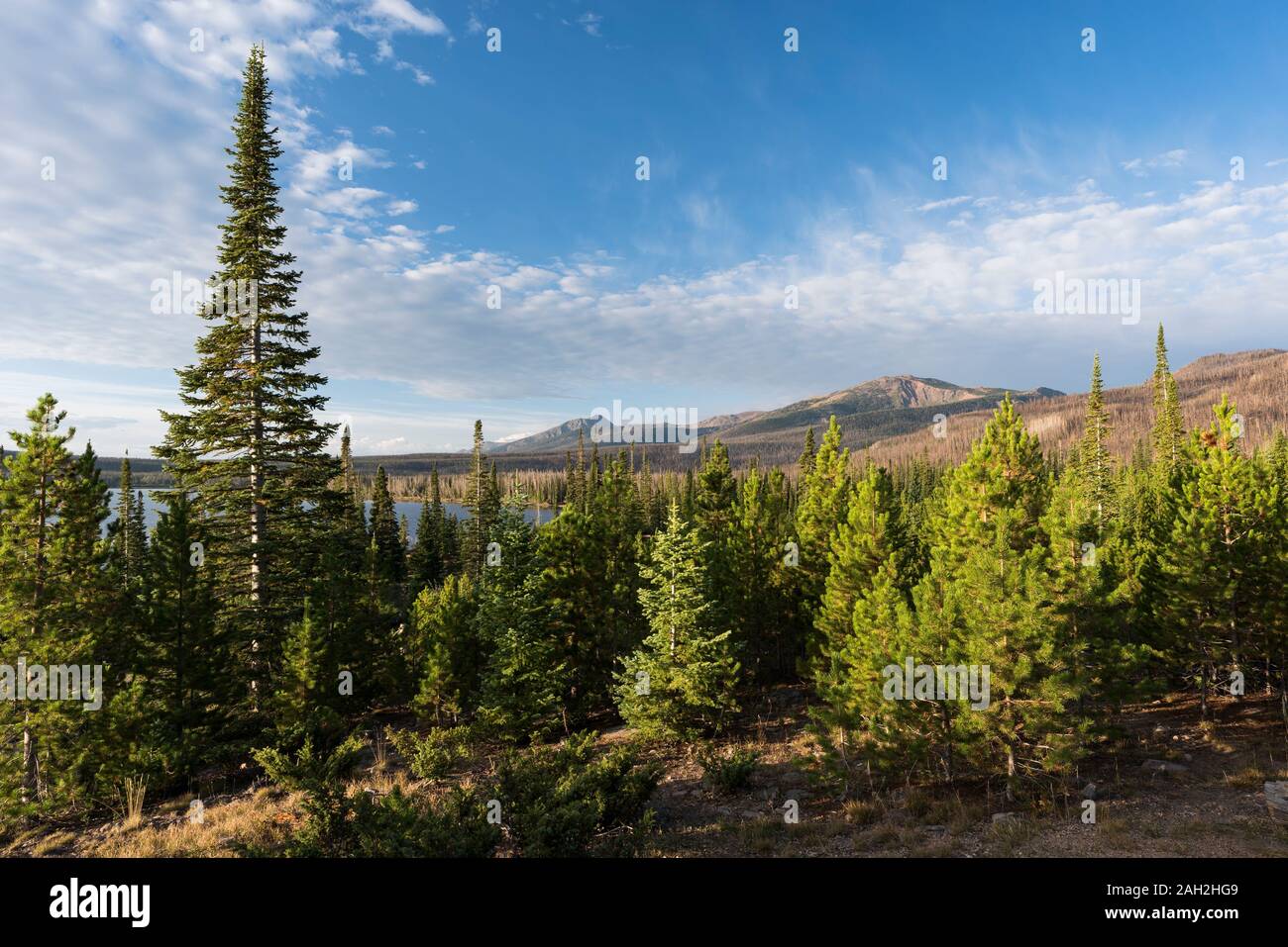 Routt National Forest Recreation Area with Big Creek Lakes and