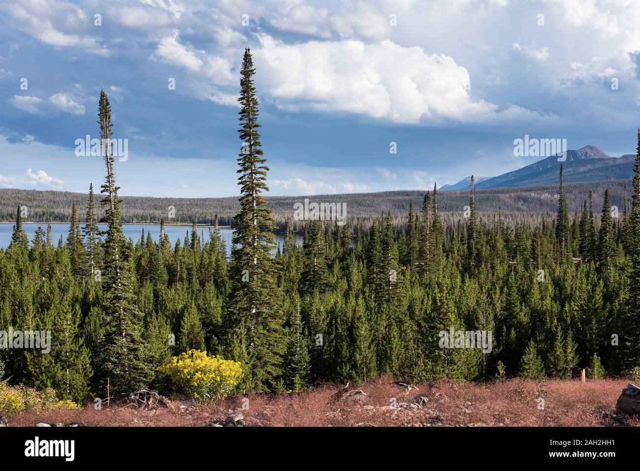 Routt National Forest Recreation Area with Big Creek Lakes and