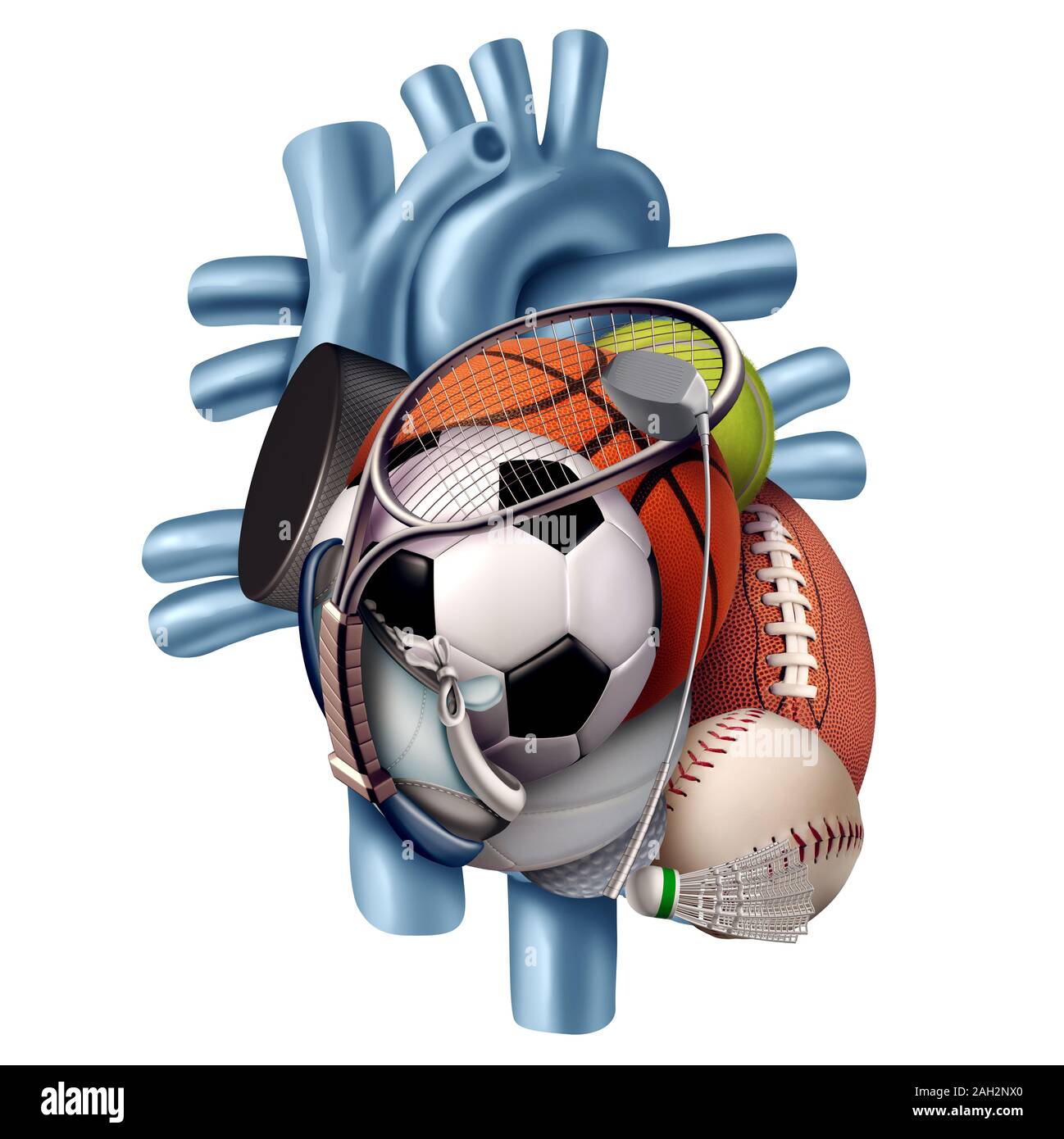 Sports healthy heart as a human organ made with exercise sport equipment as a symbol for an active lifestyle isolated on a white background. Stock Photo