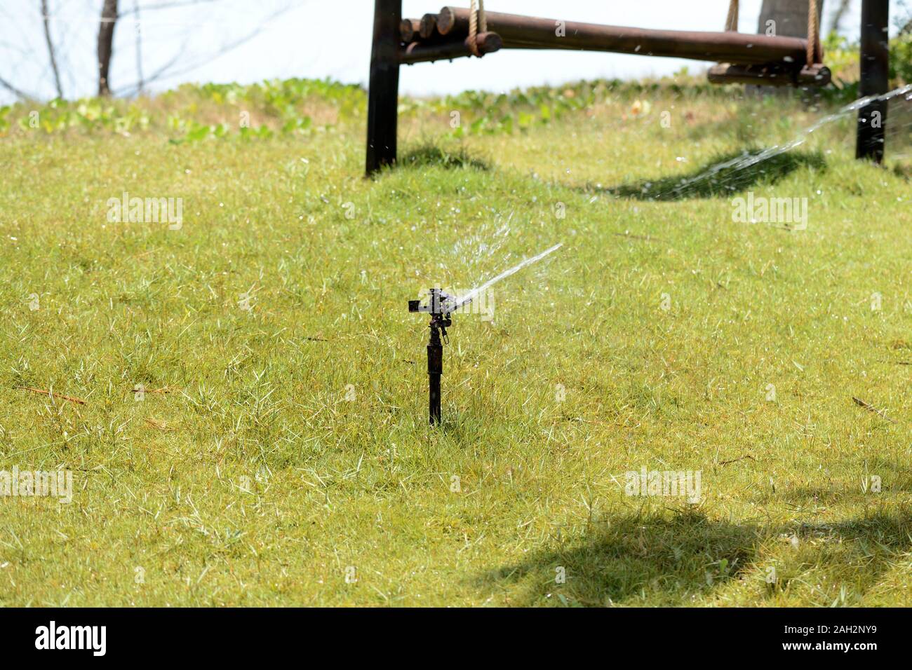 Sprinkler on lawn hires stock photography and images Alamy