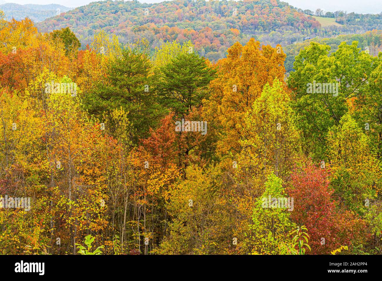 fall color, smoky mountains national park, tn us Stock Photo Alamy