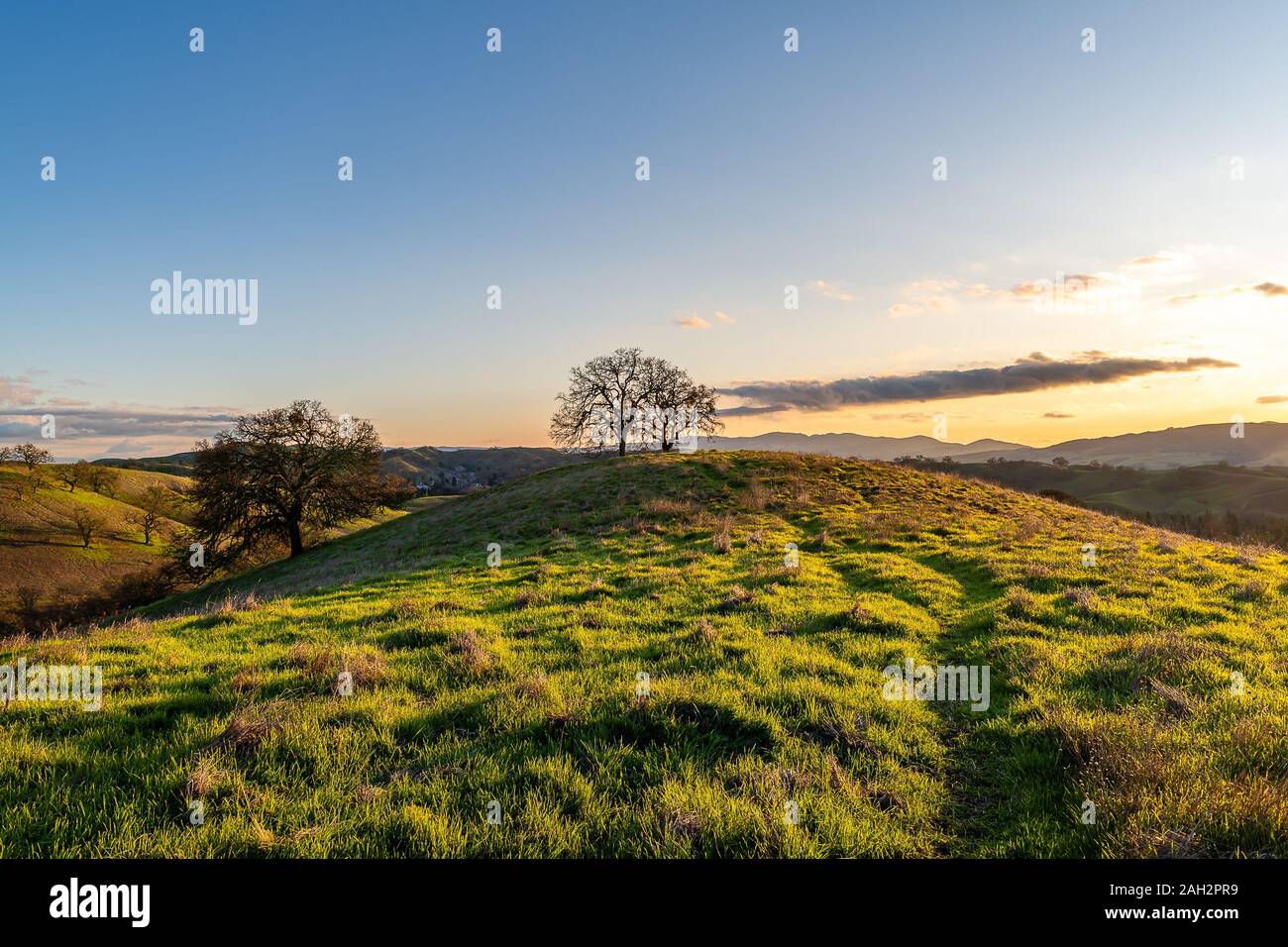 Mount Diablo State Park at Sunset Stock Photo Alamy