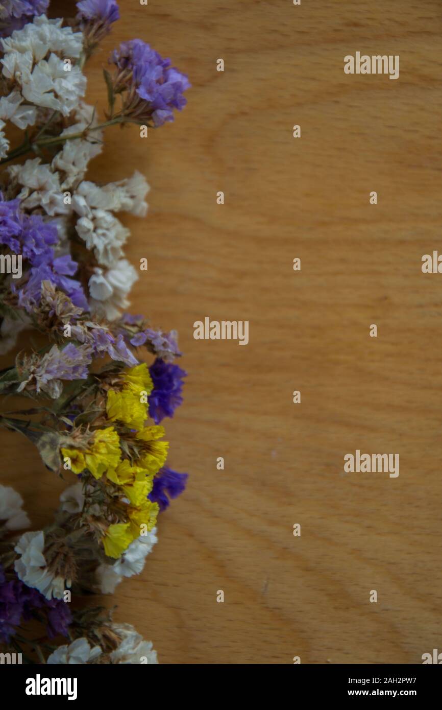 Multicolored dried flowers on wooden background, colorful limonium statice plant with copy space, place for text Stock Photo