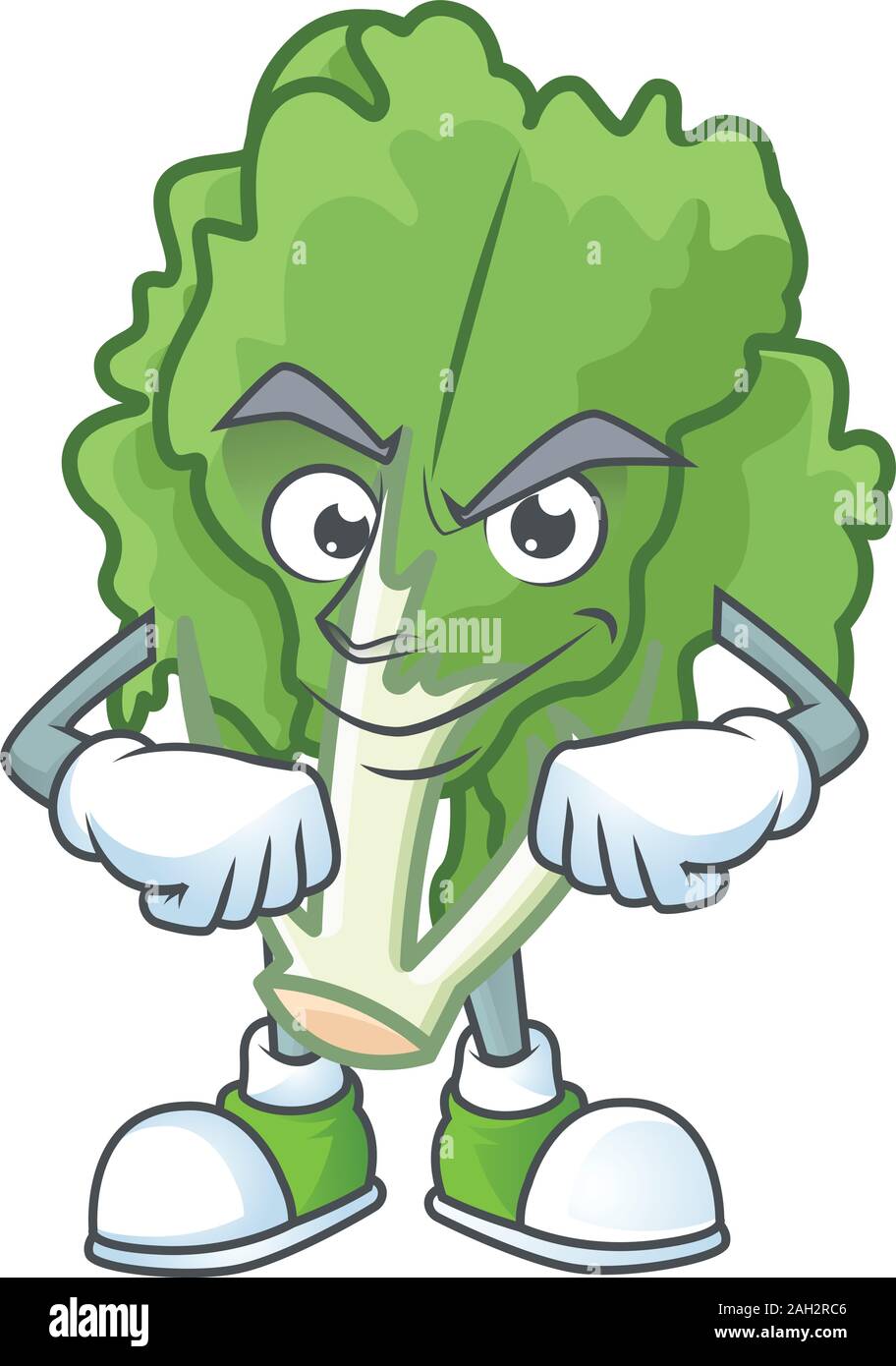 Curly endive illustration Stock Vector Images - Alamy