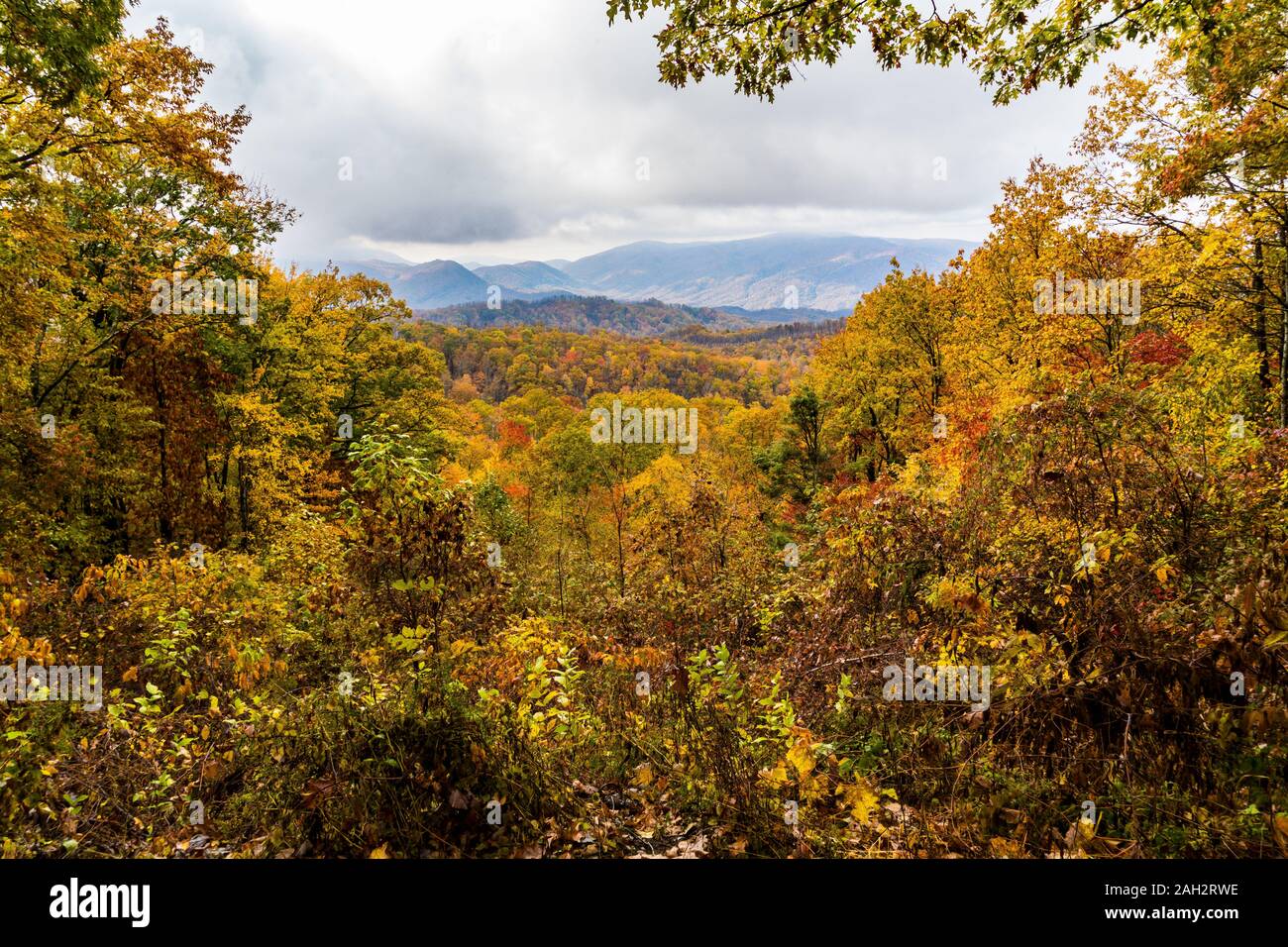 fall color, smoky mountains national park, tn us Stock Photo Alamy