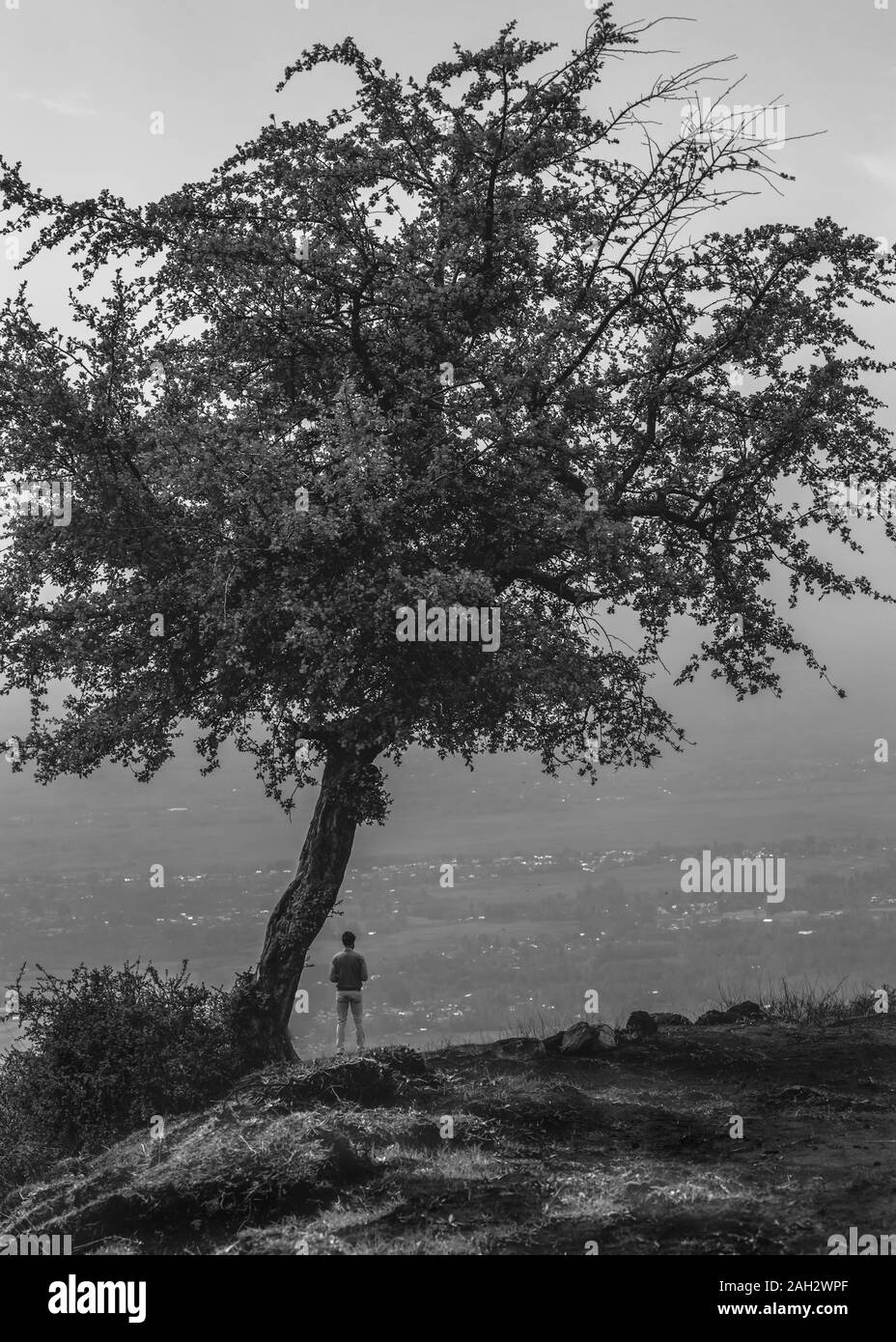 A person standing besides a tree on the top of a small hill. Self portrait of a person in a landscape in black and white Stock Photo