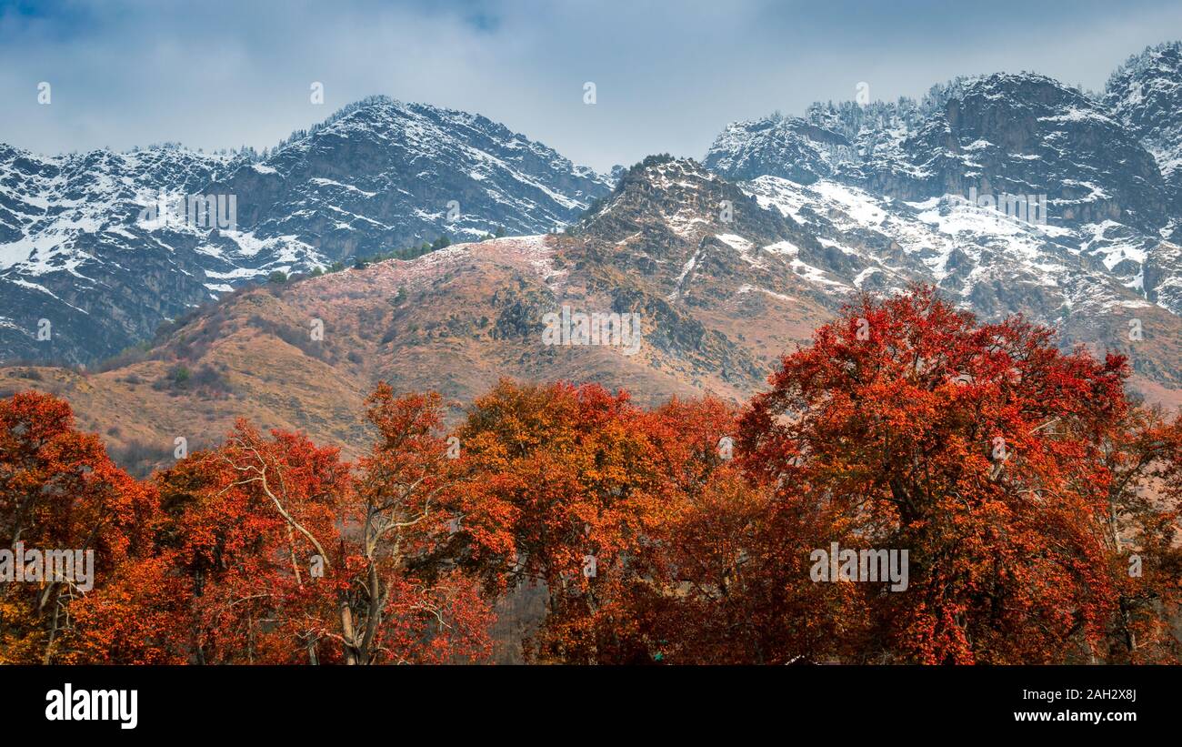 Autumn and winter at the same time on Zabarwan Range in Srinagar, Kashmir Stock Photo