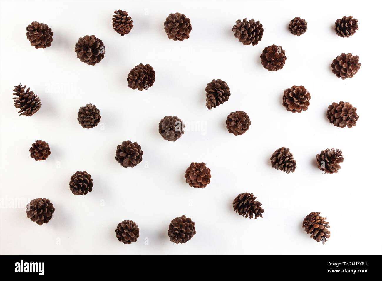 Holiday decoration with fir cones isolated on white background Stock ...