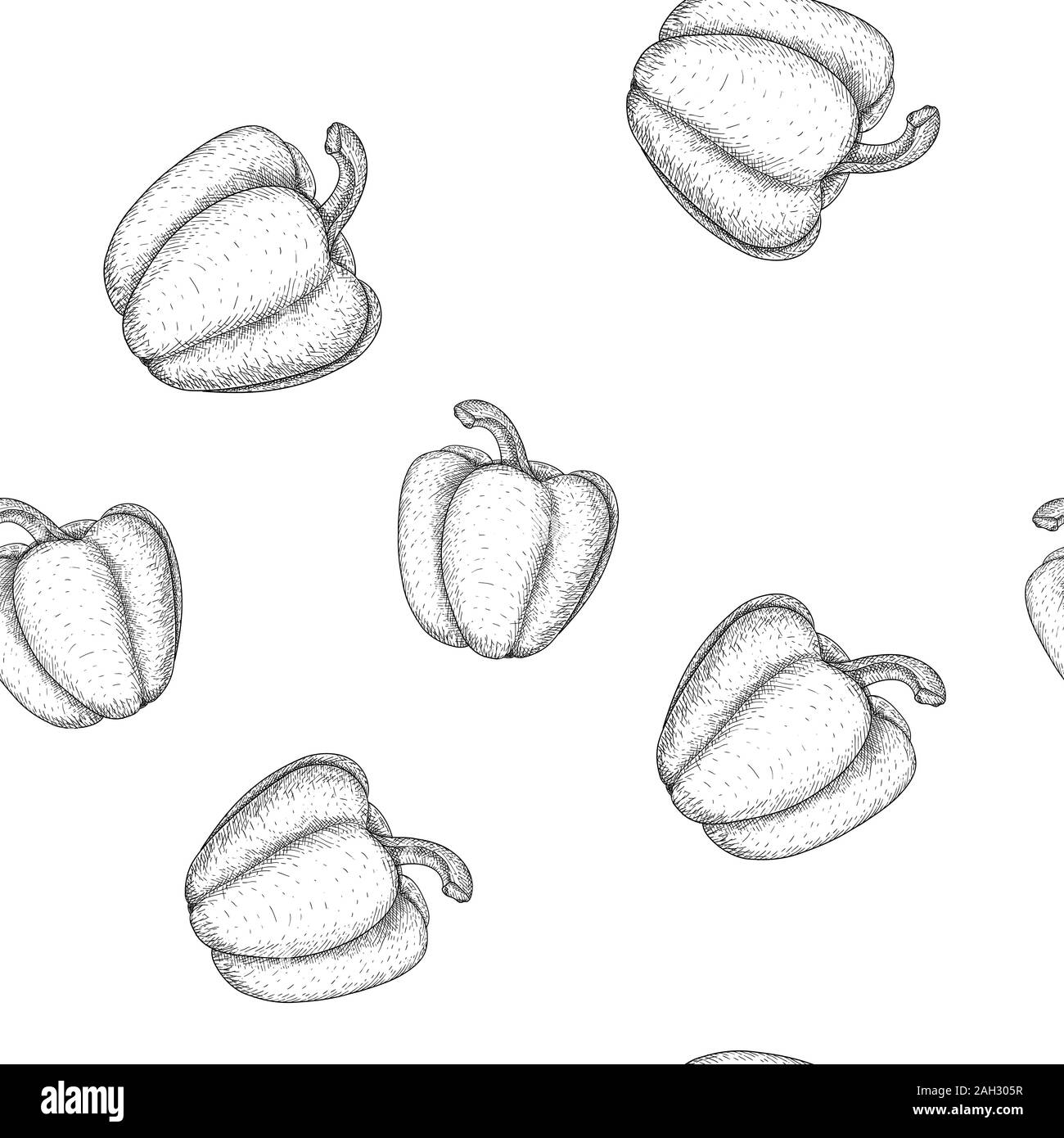 Bell pepper. Seamless pattern. Outline hand drawn sketch Stock Vector
