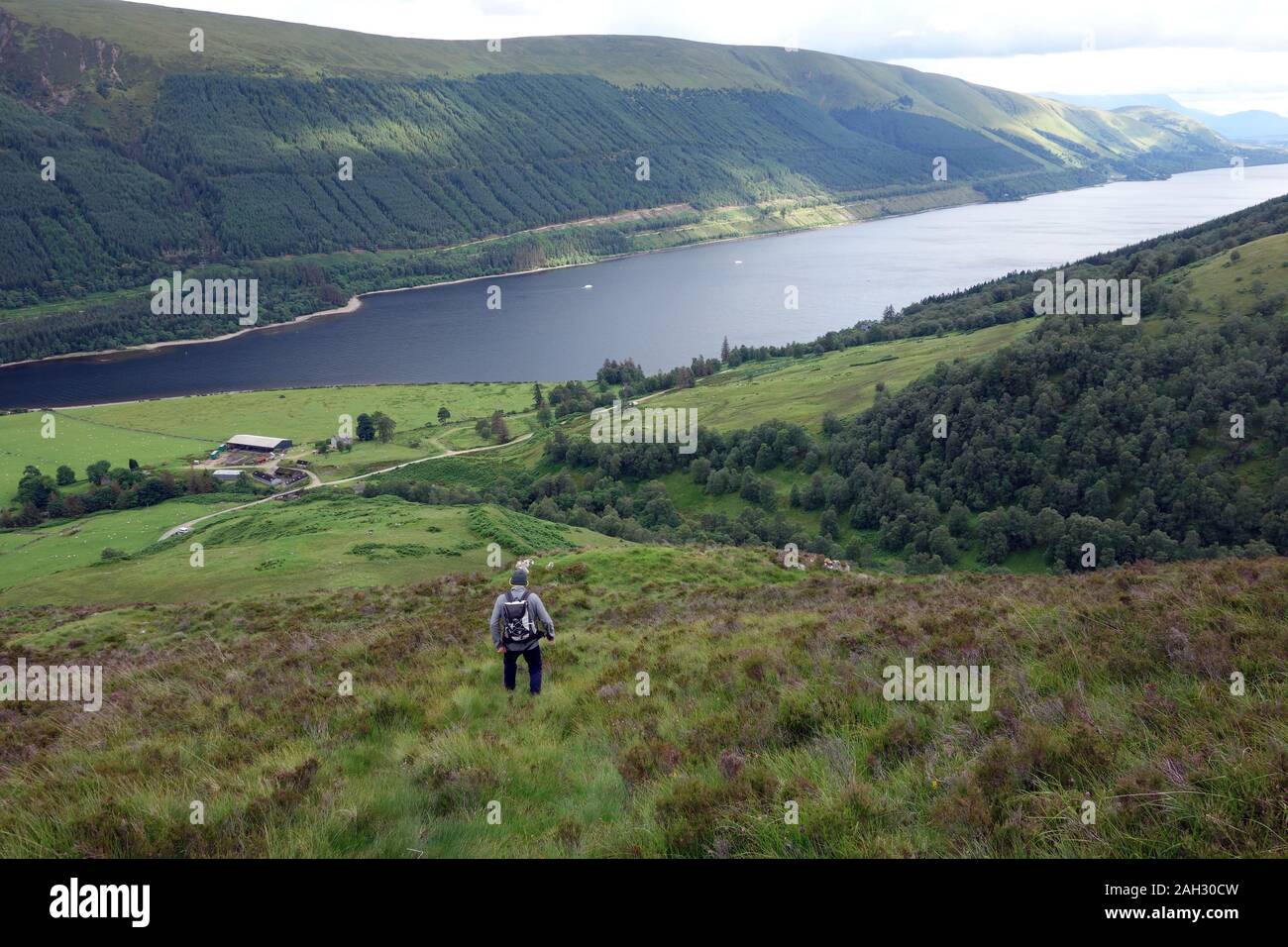 Lone Male Hillwalker Walking to Kilfinnan & Loch Laggan in the Great Glen from the Scottish Mountain Corbett Ben Tee, Scottish Highlands, Scotland. Stock Photo
