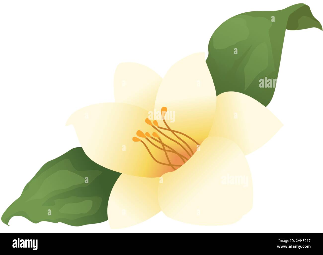 beautiful flower and leaves icon Stock Vector Image & Art - Alamy
