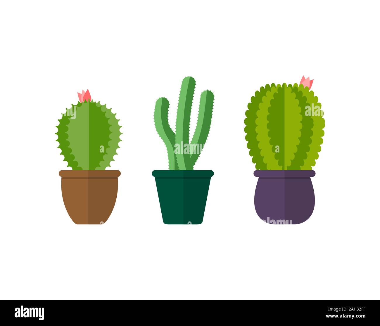 Set of cacti in pots. Houseplants. Isolated on white background, flat ...