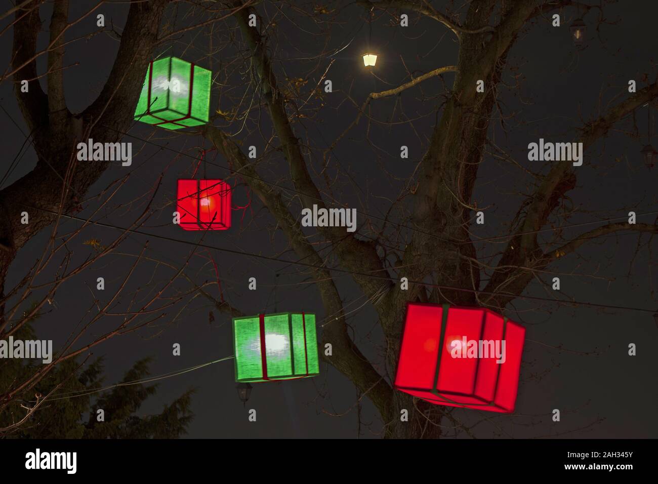 Paper lanterns on a trees as beautiful decoration Stock Photo Alamy