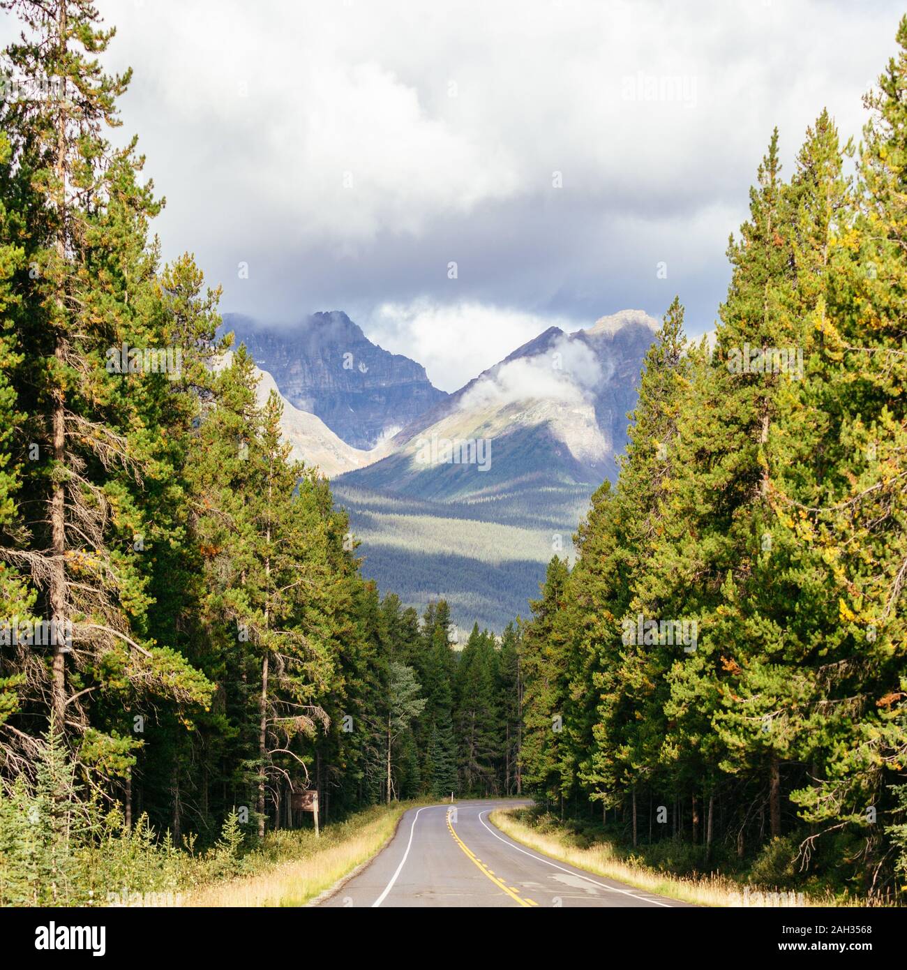 Scenic road in Jasper National Park, Alberta, Canada Stock Photo Alamy
