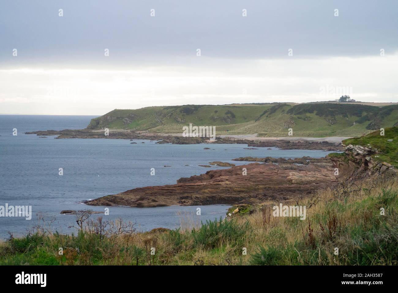 Landscape of the coastline near Wilkhaven in Easter Ross Scotland UK Stock Photo