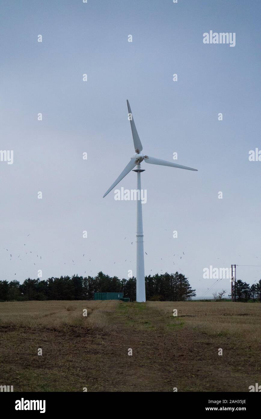 Small wind turbine on a farm in Easter Ross Scotland UK Stock Photo