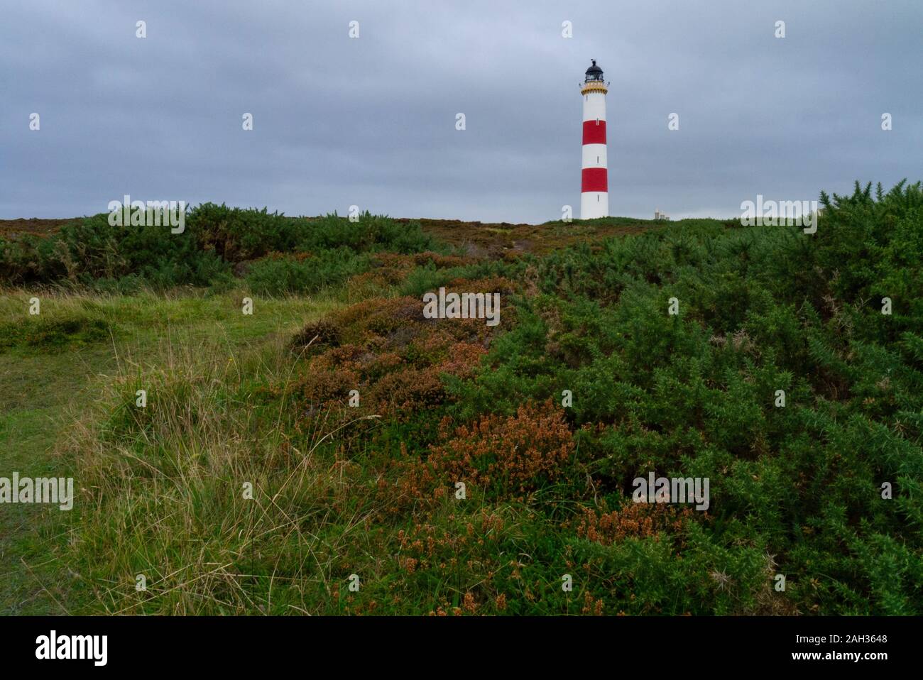 Tarbat Ness lighthouse Easter Ross Scotland UK Stock Photo