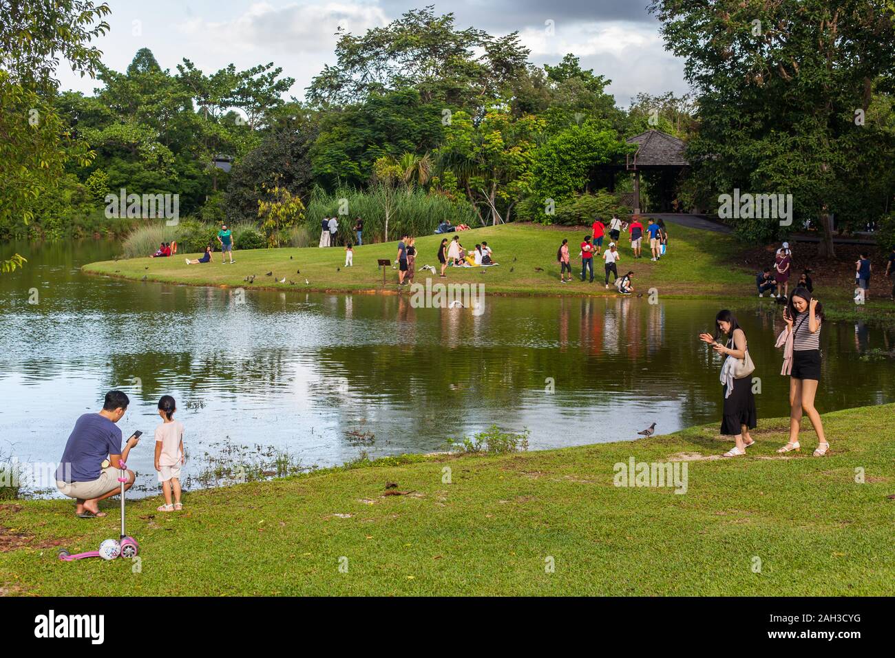 Public enjoying time off at a lake at Singapore Botanical Gardens with their friends and family. Stock Photo