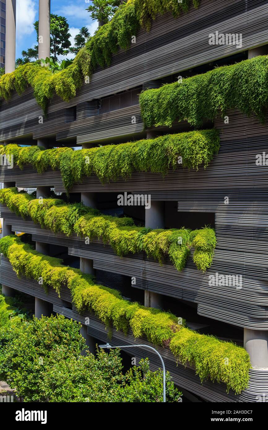 Green plants planted along the building exterior to beautify and cool down the temperature, Singapore Stock Photo
