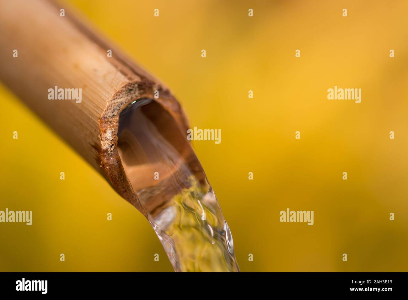 Bamboo water feature flowing close up Stock Photo